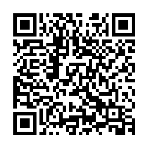 有那么十几个人族逃亡的方向正好的许紫烟他们五万余人的方向二维码生成