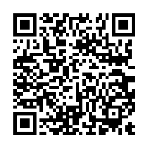 有那么多的天才修士和闻名修仙界的散修出现在此二维码生成