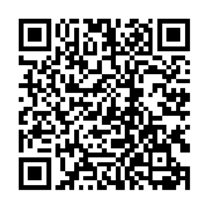 有那位杨真人在……也不知道他跟宗家究竟什么身份二维码生成