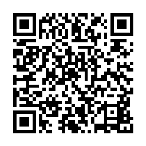 服下一些从空间戒指内拿出的疗伤丹药缓慢恢复二维码生成