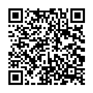 服务员把梅若灵引进一间充满西方宫厅风格的豪华房间二维码生成