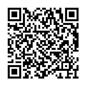 服务员还专门为他推荐了方寸海鲜酒楼的专供酒二维码生成