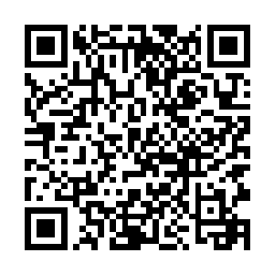 服务生和帮闲两个人显然对于茶道并不是那么的熟悉二维码生成