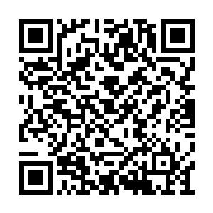 服务生还是很快推着一辆小车从别墅中走了出来二维码生成