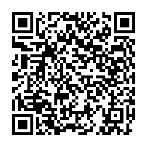 服用一颗人元果就能在极短的时间内让你的仙元力恢复到巅峰状态二维码生成