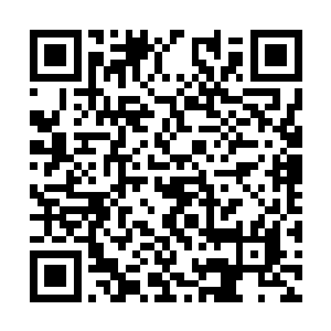 服用下进阶丹非常之顺利的步入了五阶武者的行列二维码生成