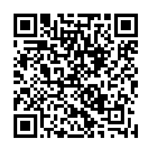 服食之后可以使一个修士在半个时辰内修为直接攀升一大阶二维码生成
