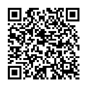 朕到看看还有谁的身上跟死去的这个婢女一样藏有虫盅二维码生成