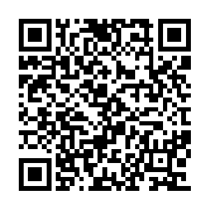 朕只是觉得要是你再不小心放走了这条蛟龙的话二维码生成