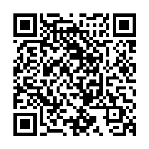 朕记得崔老未离家出走之前就喜好收集这等奇闻异事的书籍古谱二维码生成