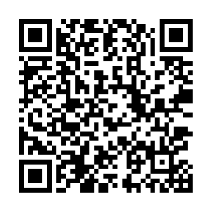朗姆吉尼斯竟然和上古神兽天翼神虎有着如此莫逆的交情二维码生成