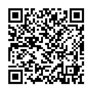 朗朗阳光从枝叶罅隙在地面上投射出斑驳的阴影二维码生成