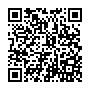 望了一眼袋子里剩下的三个灌汤包顿时没了胃口二维码生成