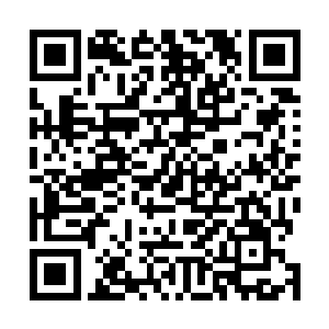 望向李天一的目光之中也露出了一抹厌恶的表情鉴宝秘术二维码生成