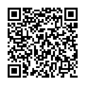 望向杨戬的目光之中也充满了浓浓的恐惧和震惊二维码生成