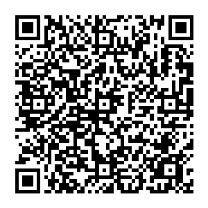 望向空中的目光突然一缩・许紫烟发现那个不知道是什么材料炼制而成的凤凰仙器竟然开始融化了二维码生成