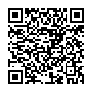 望向金玄战傀的目光之中也闪过了一抹惊骇的表情二维码生成