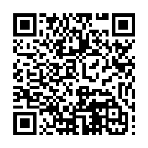 望向龙傲天的目光中也是充满了无尽的愤恨的神情二维码生成