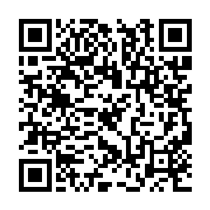 望向龙傲天的目光之中也充满了浓浓的愤怒的表情二维码生成