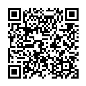 望向龙傲天的目光之中也闪过了一抹感激和崇拜的光芒二维码生成