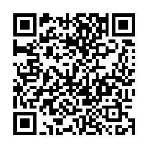 望向龙傲天的目光之中也露出了一抹发自内心的敬畏和恭敬二维码生成