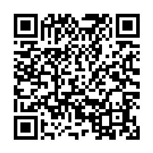 望向龙傲天的目光之中的杀意也再一次疯狂的暴涨起来二维码生成