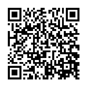 望月者偷偷向吕轻尘和血色心魔传输过去一道脑电波二维码生成