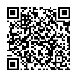 望着一众身穿白色抬拳道服的人狼狈的相扶着离去二维码生成