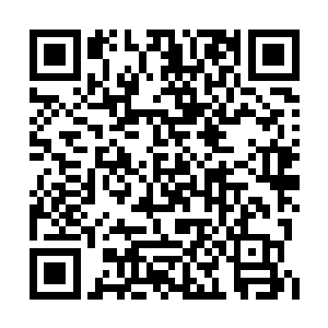 望着不远处正和老兄弟火眼狻猊眉飞色舞的孟康二维码生成