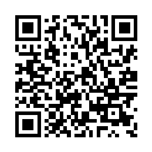 望着两只鹦鹉研究它们身上羽毛有几种颜色二维码生成