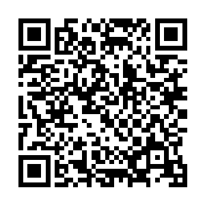 望着前面摆放着的一整碗的看起来色泽已经呈现出洁白色二维码生成