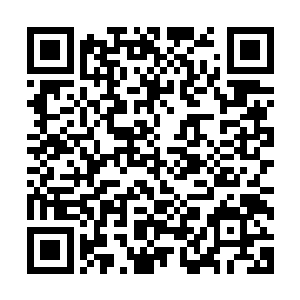 望着前面的刘警官和那个气势汹汹的拿着手脚镣铐上来的警察二维码生成