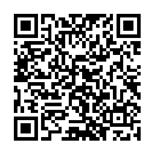 望着张潇晗的目光早在不知不觉中脱离了男女的情愫二维码生成