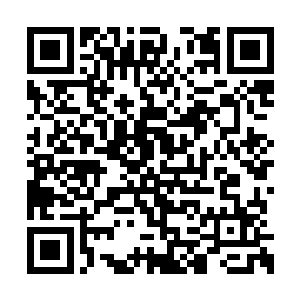 望着缠绕在青铜大门上的一根根纵横交错的藤蔓二维码生成