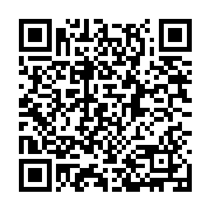 望着赤铜鼎下面六颗金黄色的无比圆润的丹药之后二维码生成