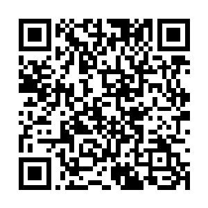 望着那脸色已经苍白到发紫却依旧斗志不减的青年二维码生成