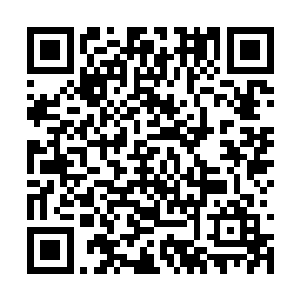 朝中同僚殚精竭虑者就是为了扭转大宋目前的弊政二维码生成
