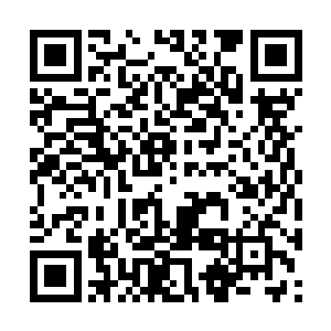 朝倾公主说你给柳记药铺的药方是咱们萧国公府的二维码生成