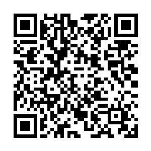 朝向他们这一面那庞大舰体外部无数大型舱门不停开合二维码生成