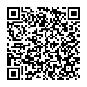 朝圣大会一结束就迫不及待地想要知道这两个他印象深刻的人的生死二维码生成