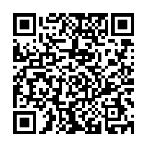 朝宸王和看到里面情况之后一脸震惊的孤狼挥了挥短小的前爪二维码生成