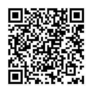 朝廷定然会重新任命南京兵部尚书及南京镇守太监二维码生成