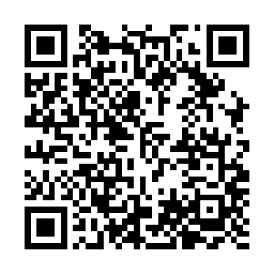 朝歌大祭司这一声惊咦把其他评判祭司的目光都给吸引过来二维码生成