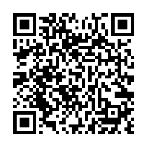 朝着一个方向逃亡的宁忌已经跑出了最初混乱的战团所在二维码生成