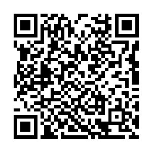 朝着赤金护盾外面那两个巫鬼世家的强者激射而去二维码生成