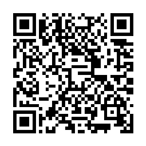 朝着身边的十几名潜龙战队的成员用眼神示意了下二维码生成