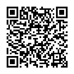 朝着那些源源不断从北狱鬼王殿中涌出的恶鬼杀去二维码生成