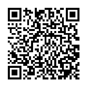 朝臣们还来不及消耗皇上中毒的消息就被这个安排打击得一懵二维码生成