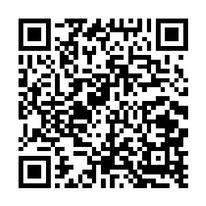 期待那个总是能圆满完成订单的巴克自己制造奇迹……二维码生成