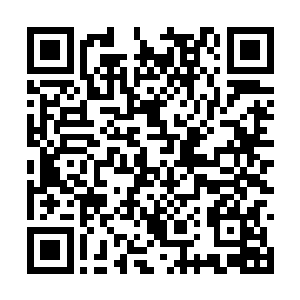 期望着有一天能做到雇佣大学生给自己打工的程度二维码生成